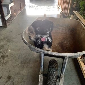 Meet your Posher, Monserrat